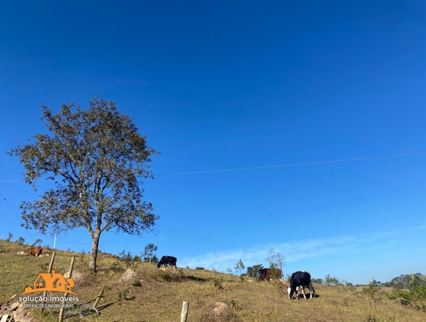 property_gallery_img_5274