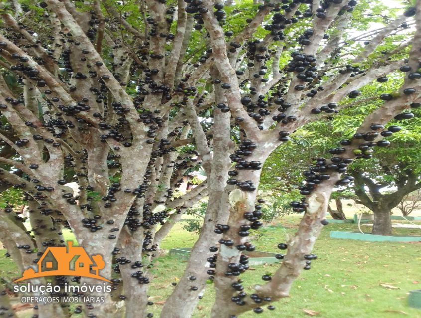 property_gallery_img_5039