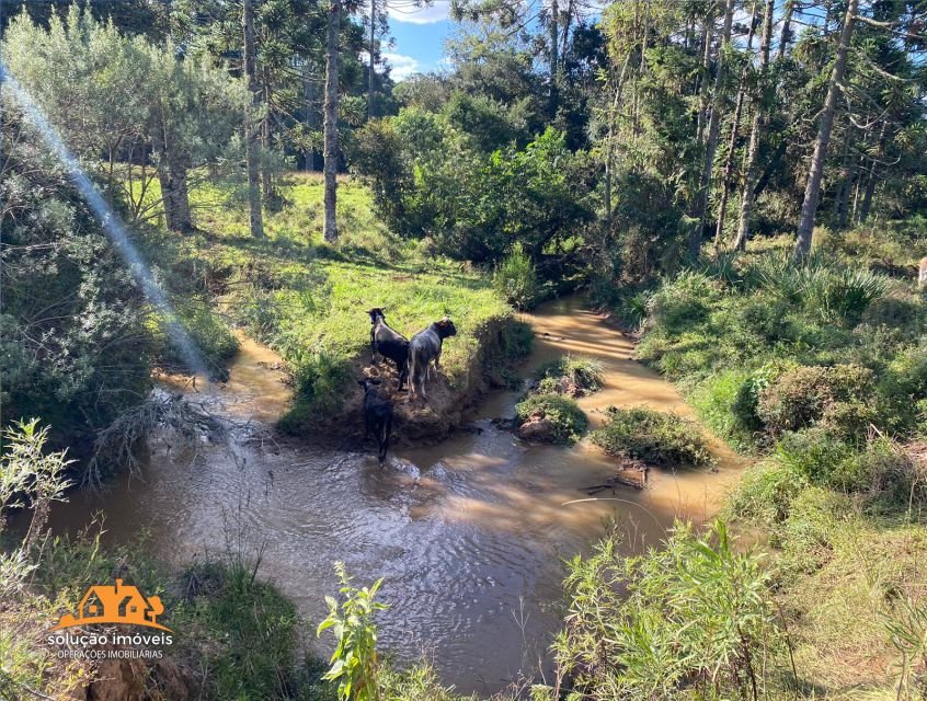 property_gallery_img_5338