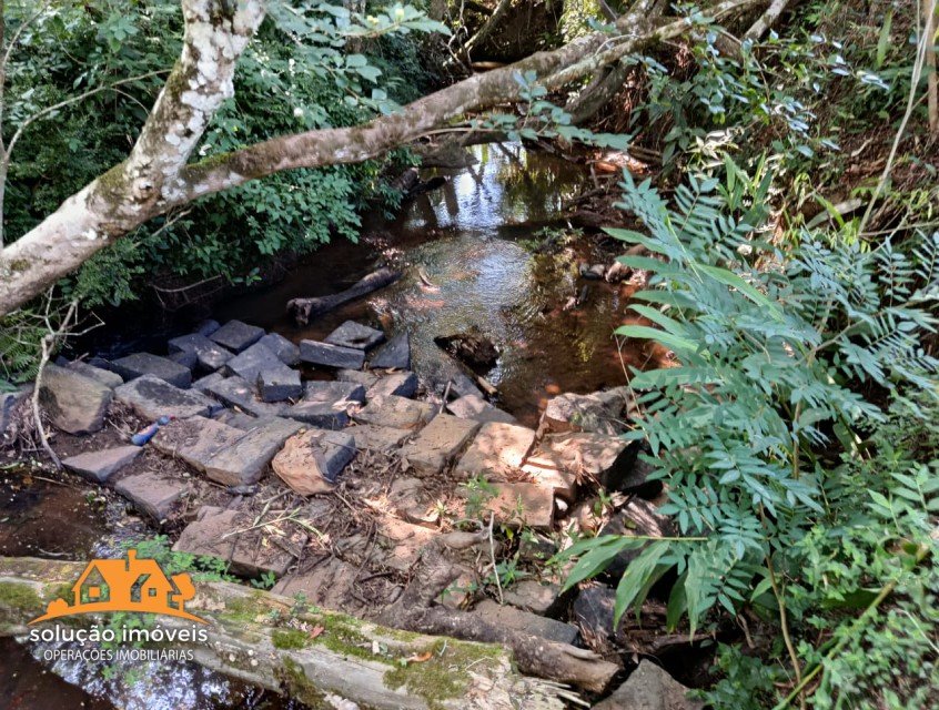 property_gallery_img_5916